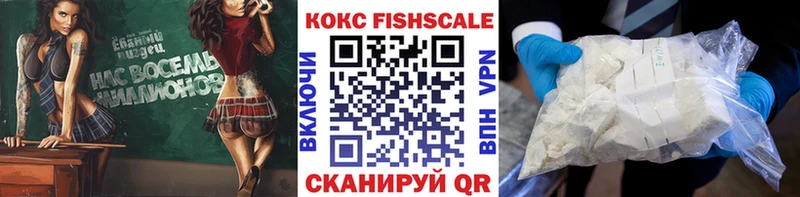 MEGA ONION  Онега  Cocaine 98%  как найти закладки 