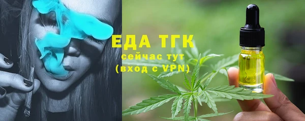 spice Богородск