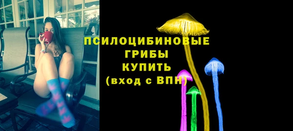 МДПВ Богданович