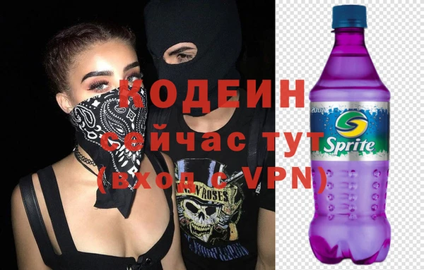 spice Богородск