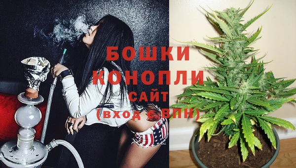 spice Богородск