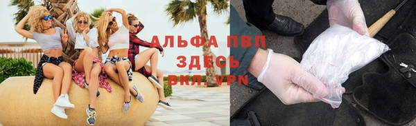 spice Богородск