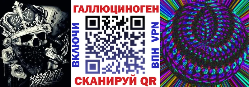 блэк спрут сайт  Онега  Галлюциногенные грибы Psilocybine cubensis 