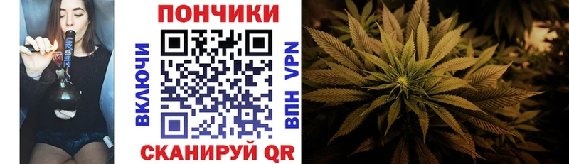 мега зеркало  Онега  МАРИХУАНА семена 
